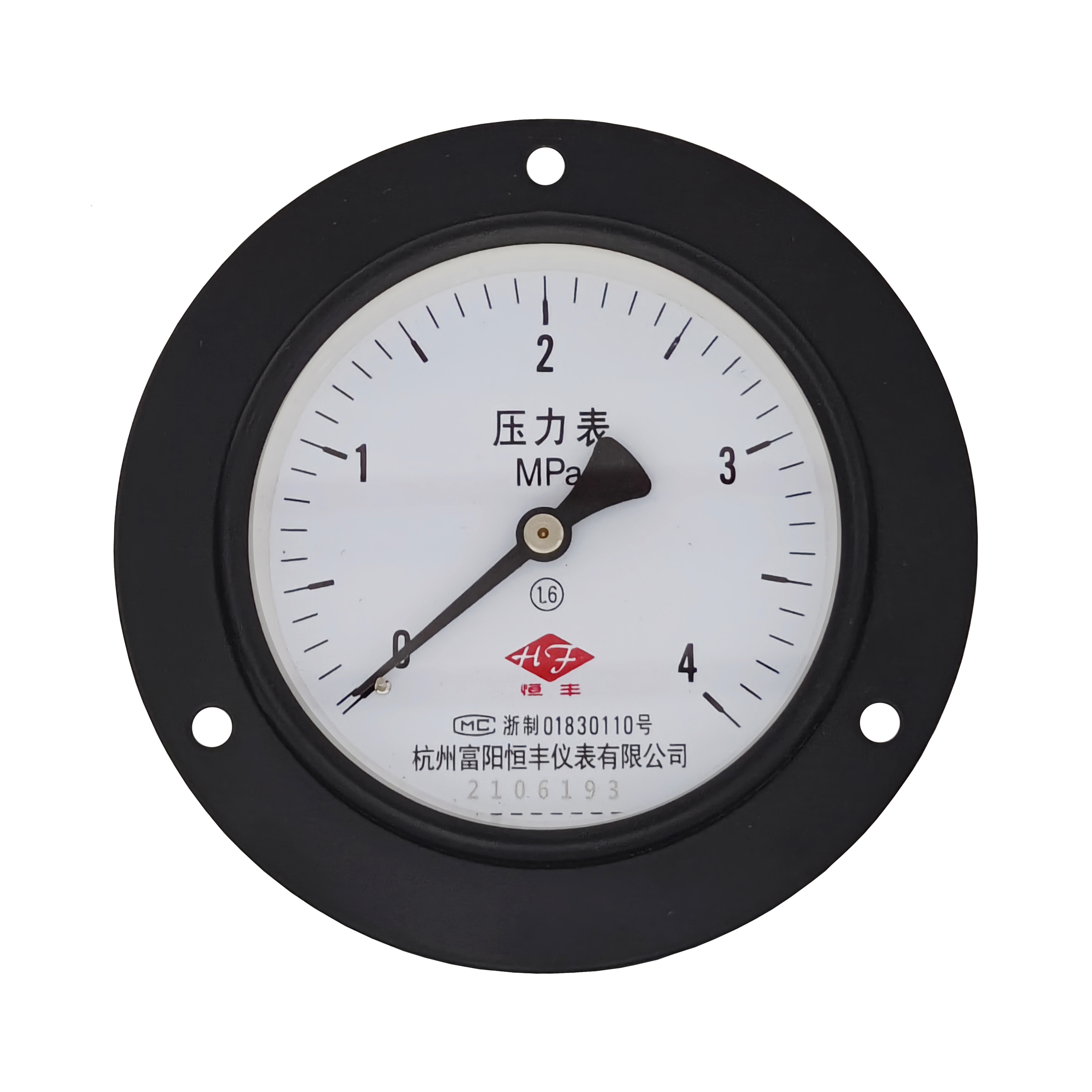 Y100ZT ordinary pressure gauge