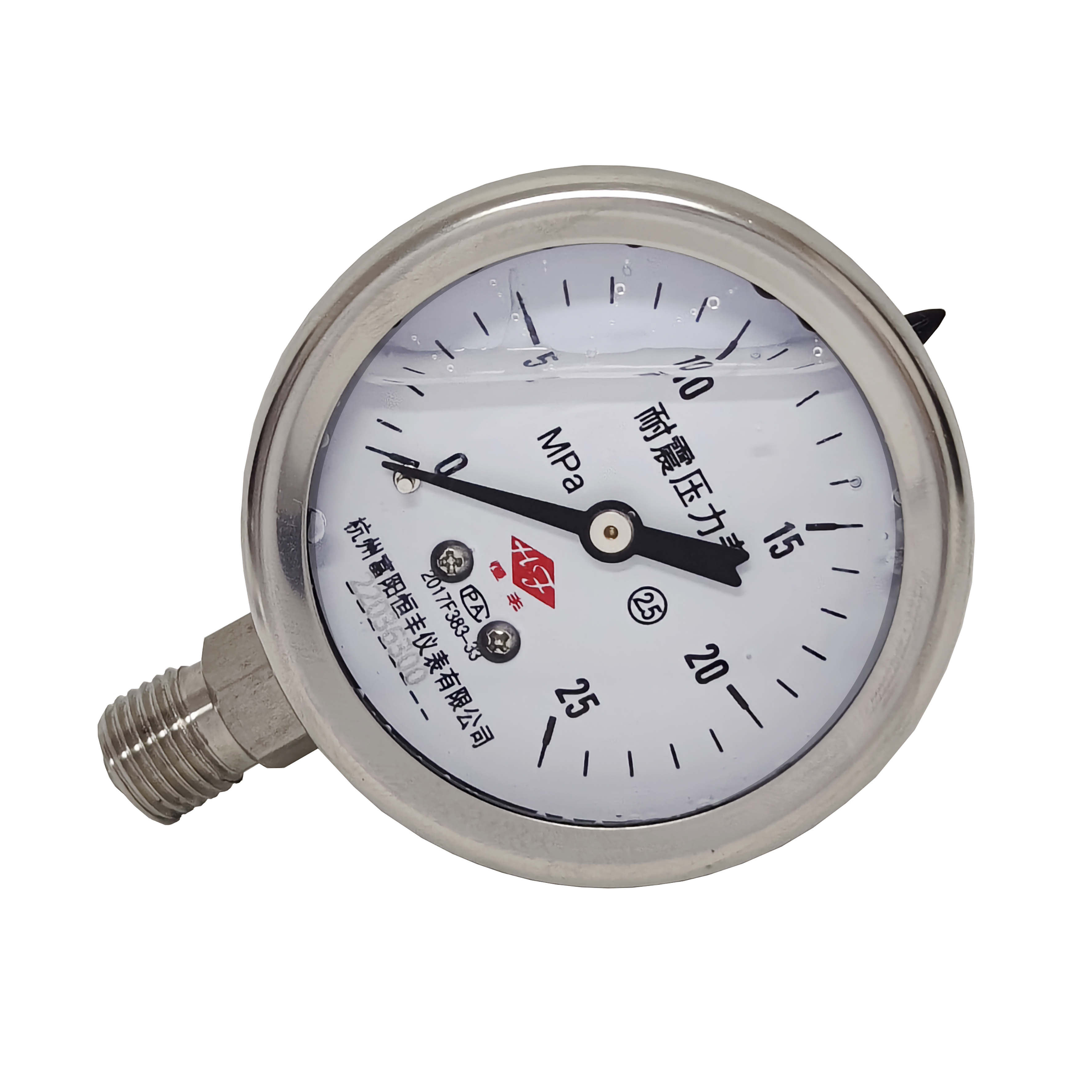 Y60BF stainless steel pressure gauge