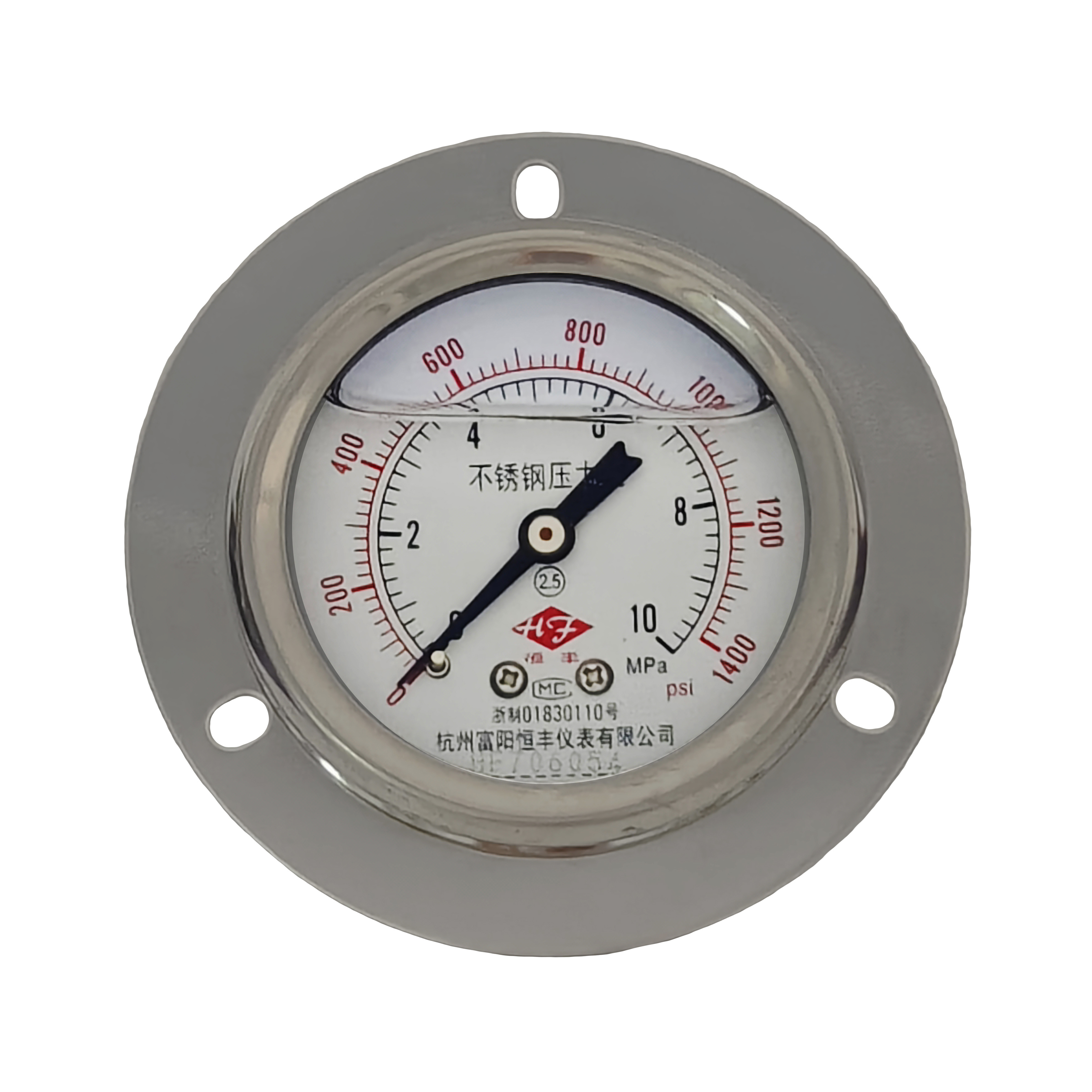 Y60BFZT stainless steel pressure gauge